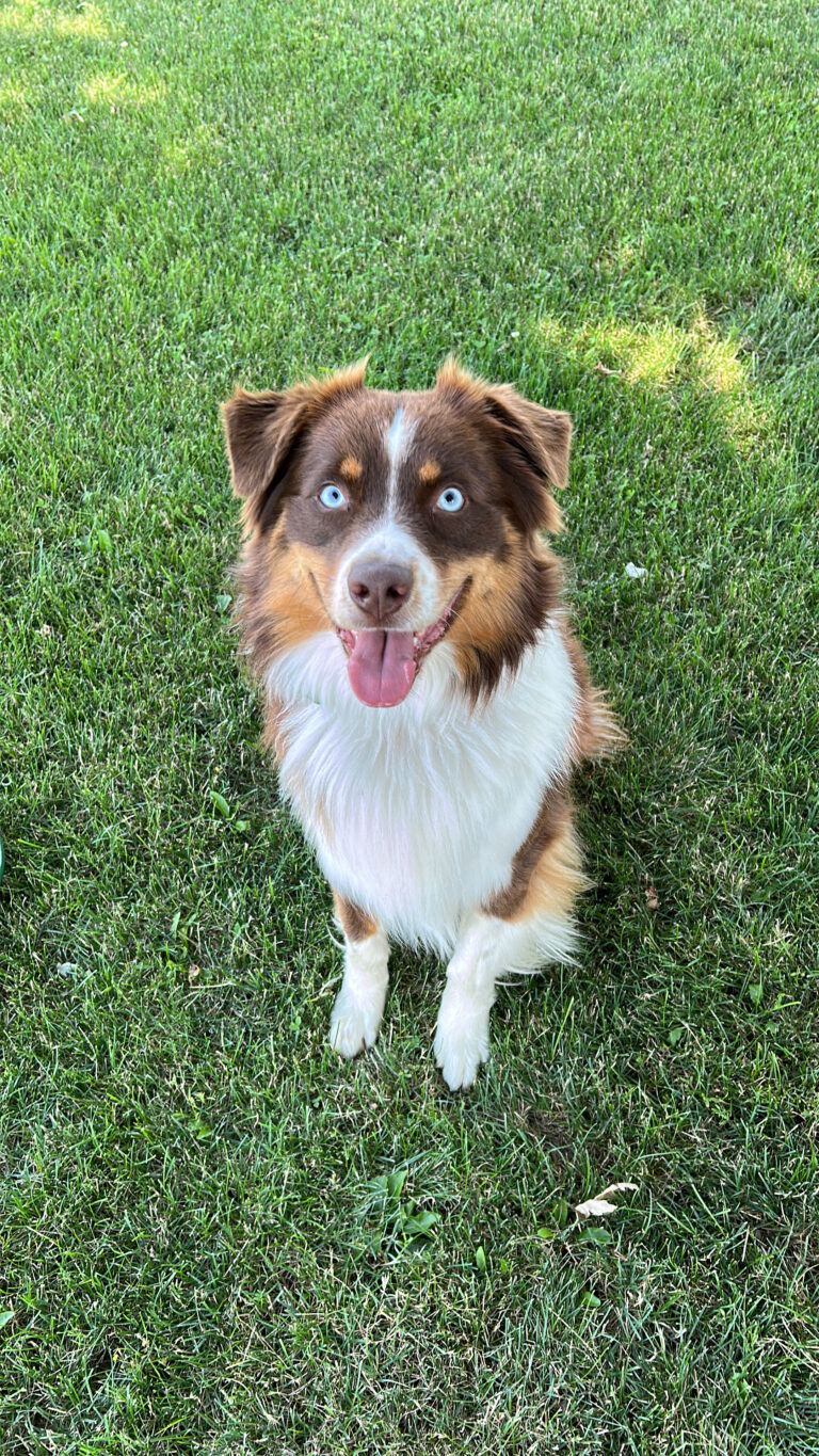 A162BD2F-1920-4308-9BF4-0AA85BBADF2E